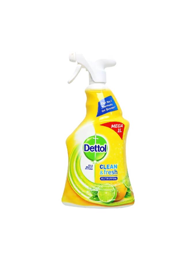 Dettol multi purpose cleaner 1L