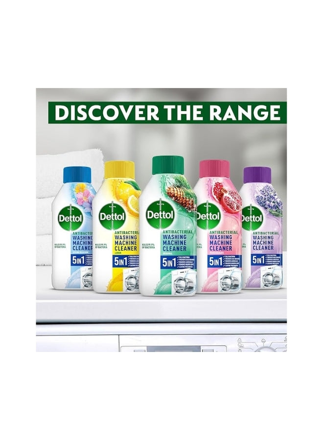 Dettol Washing Machine Cleaner, Lemon 250 ml
