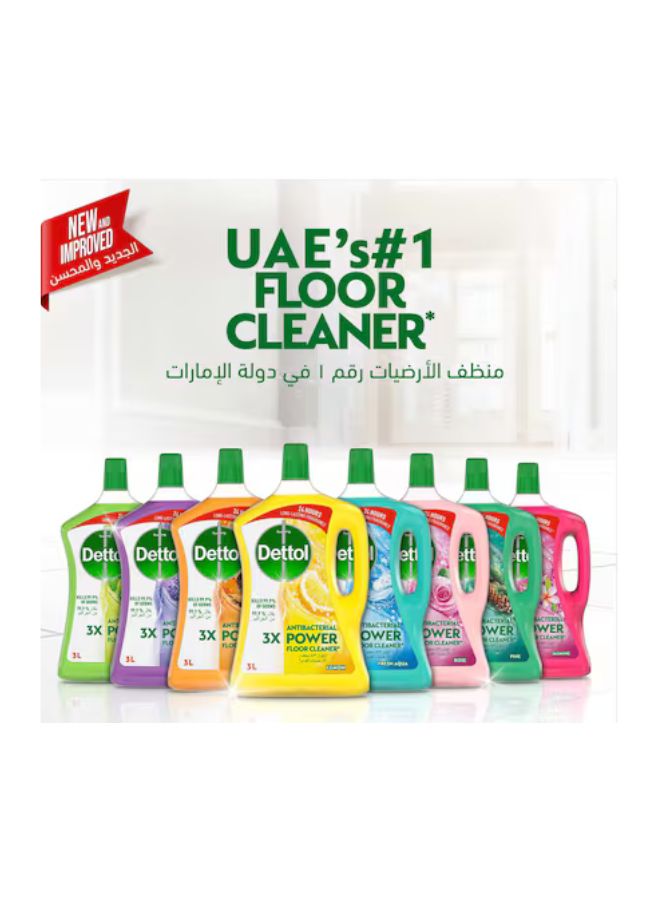 Dettol Lavender Antibacterial Power Floor Cleaner , 3L x 2